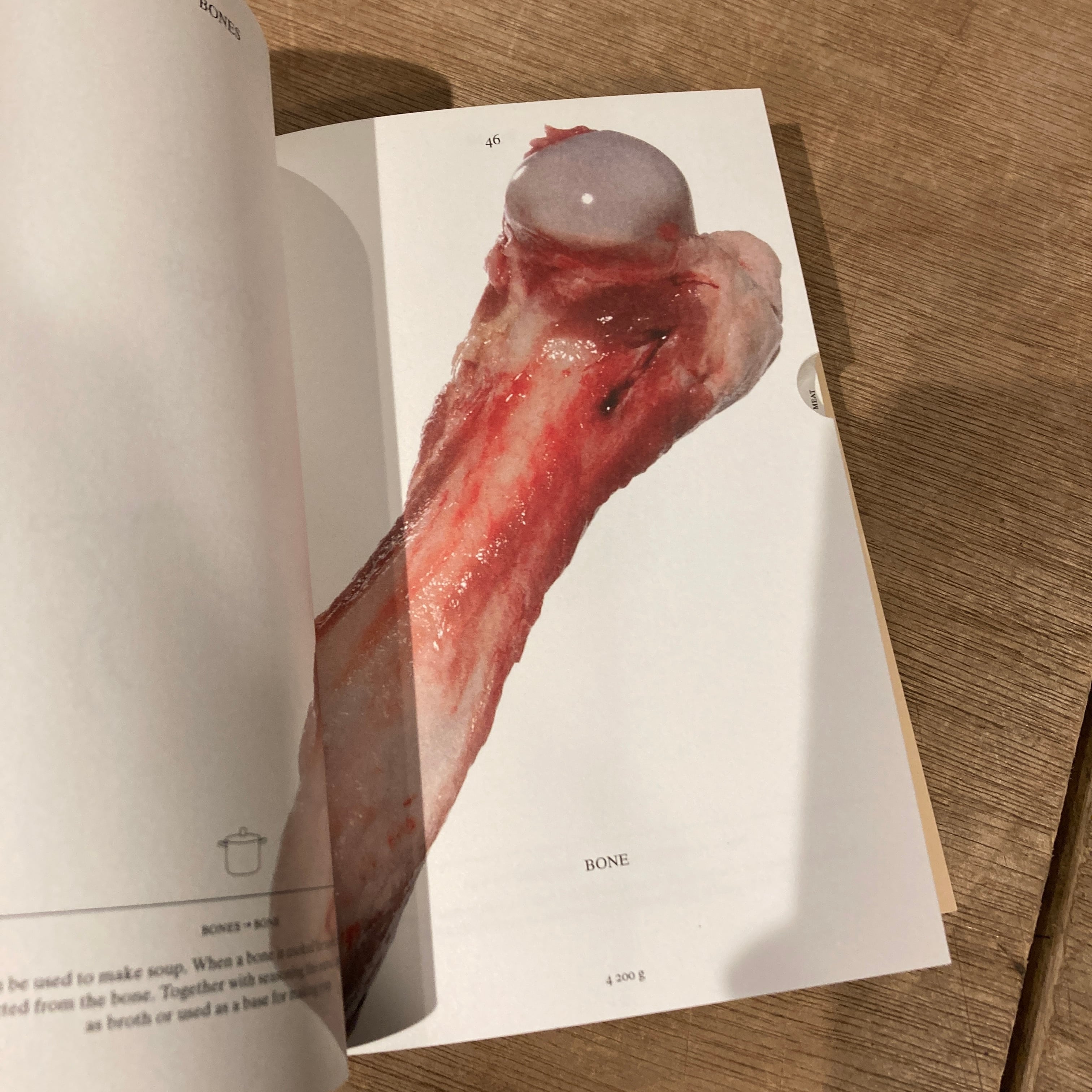 PIG 05049 / Christien Meindertsma | 百年