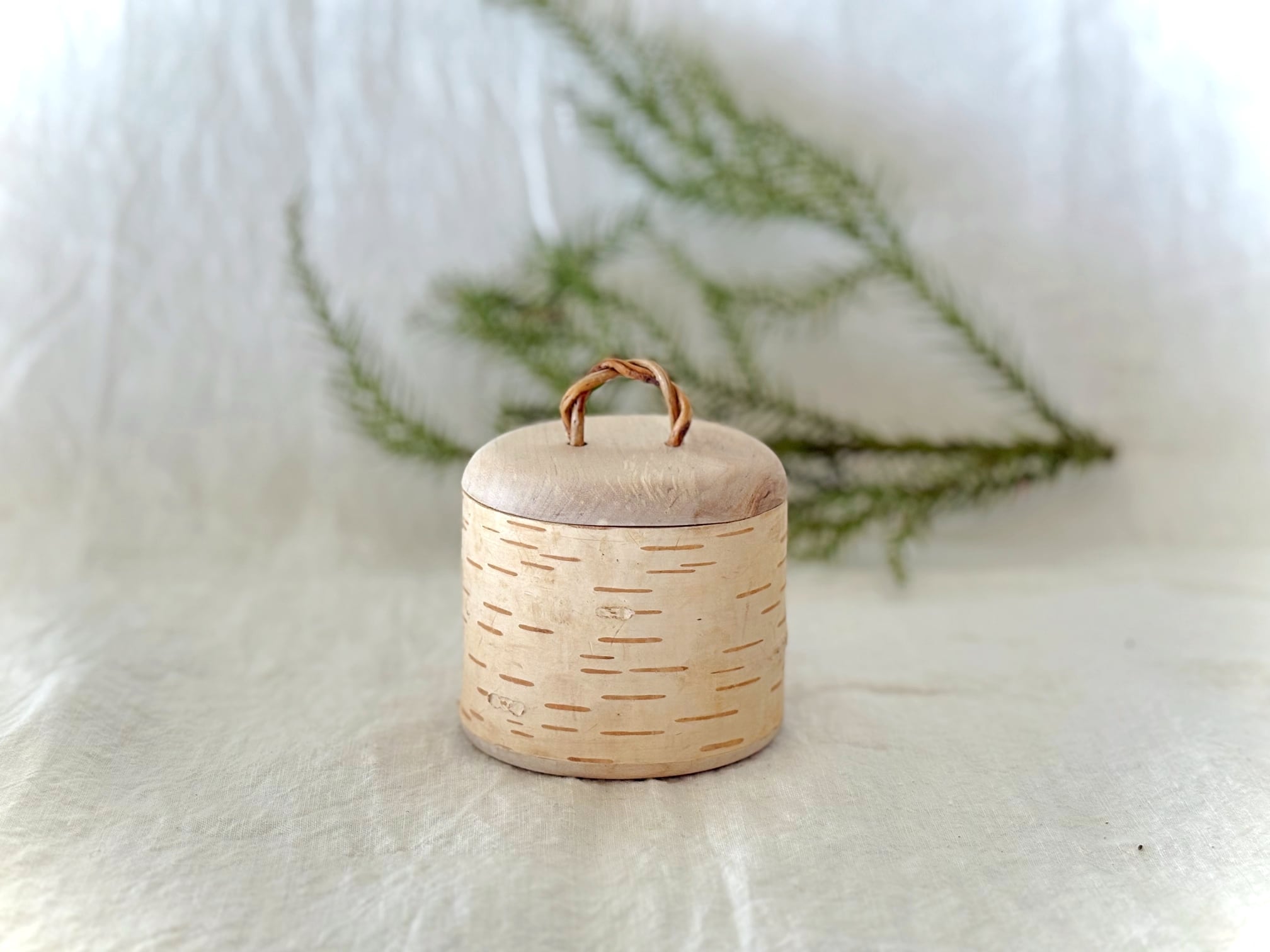 キャニスター #1