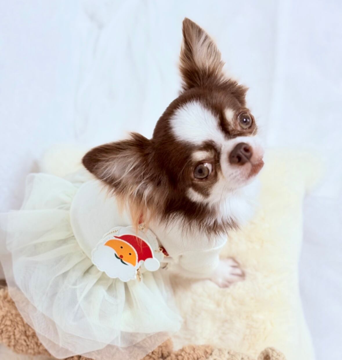 サンタさん斜め掛けバック