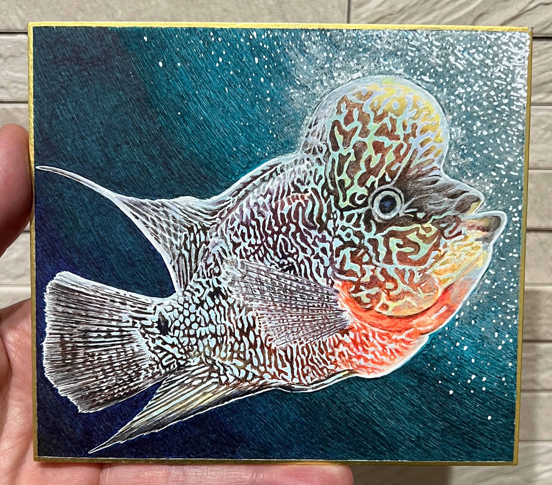 磯野キャビア ZOO