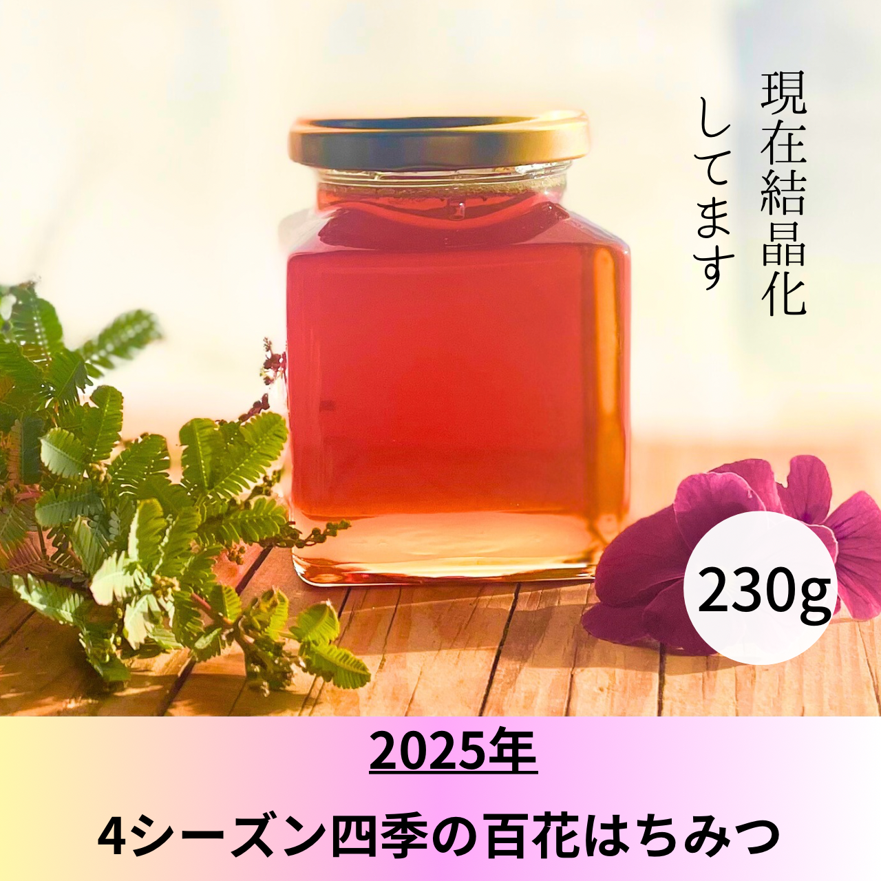 値下げ事業 2025新蜜20kg 完熟 生蜂蜜 国産蜂蜜 純粋蜂蜜 無添加 非 