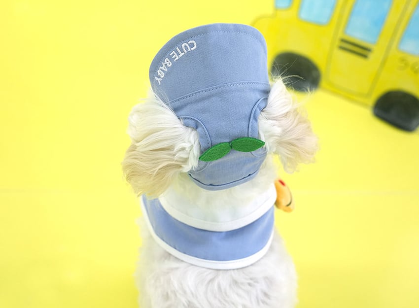 kindergarden cape & ball cap set 2color / 犬用 帽子 幼稚園 ケープ バンダナ スカーフ アクセサリー ドッグウェア ペット用 cap 被り物 お揃い お出かけ お揃い 撮影会 ban18