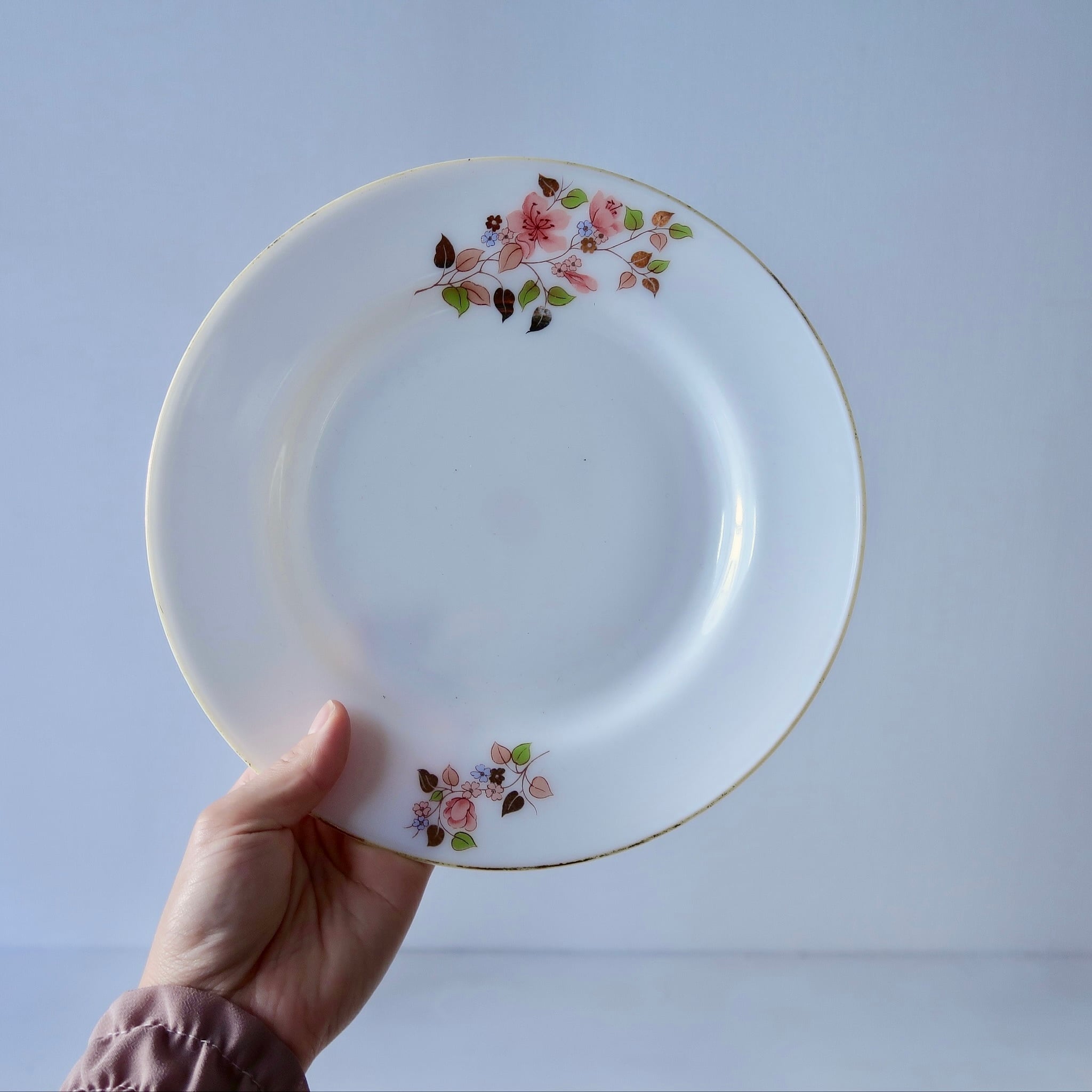 台湾食器】ミルクガラスのお皿 | SUISUI