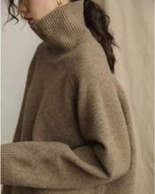 Turtle neck Knit　T20268