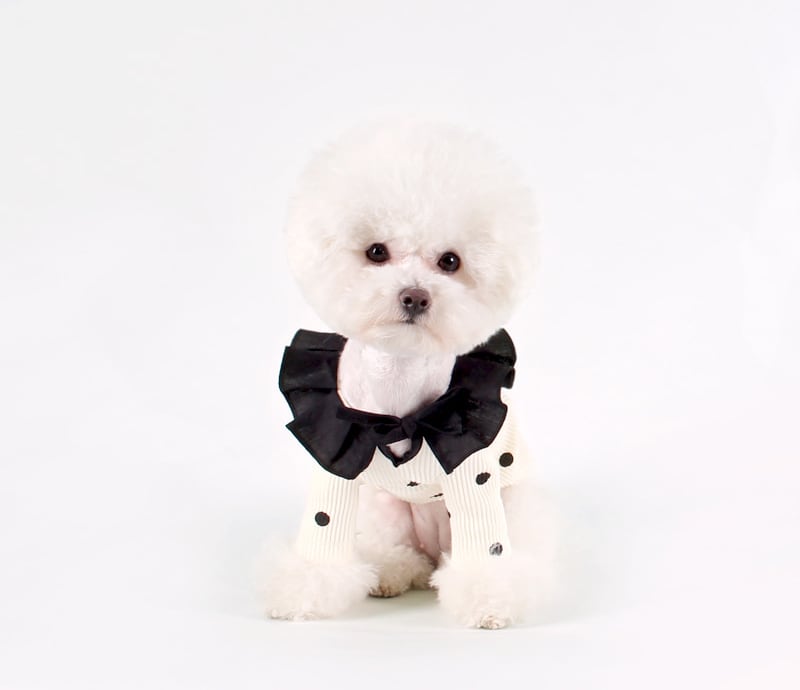 ドットフリルニット S ~ XL 2color / 犬服 ドッグウェア 小型犬 中型犬 犬の服 わんちゃん ペット