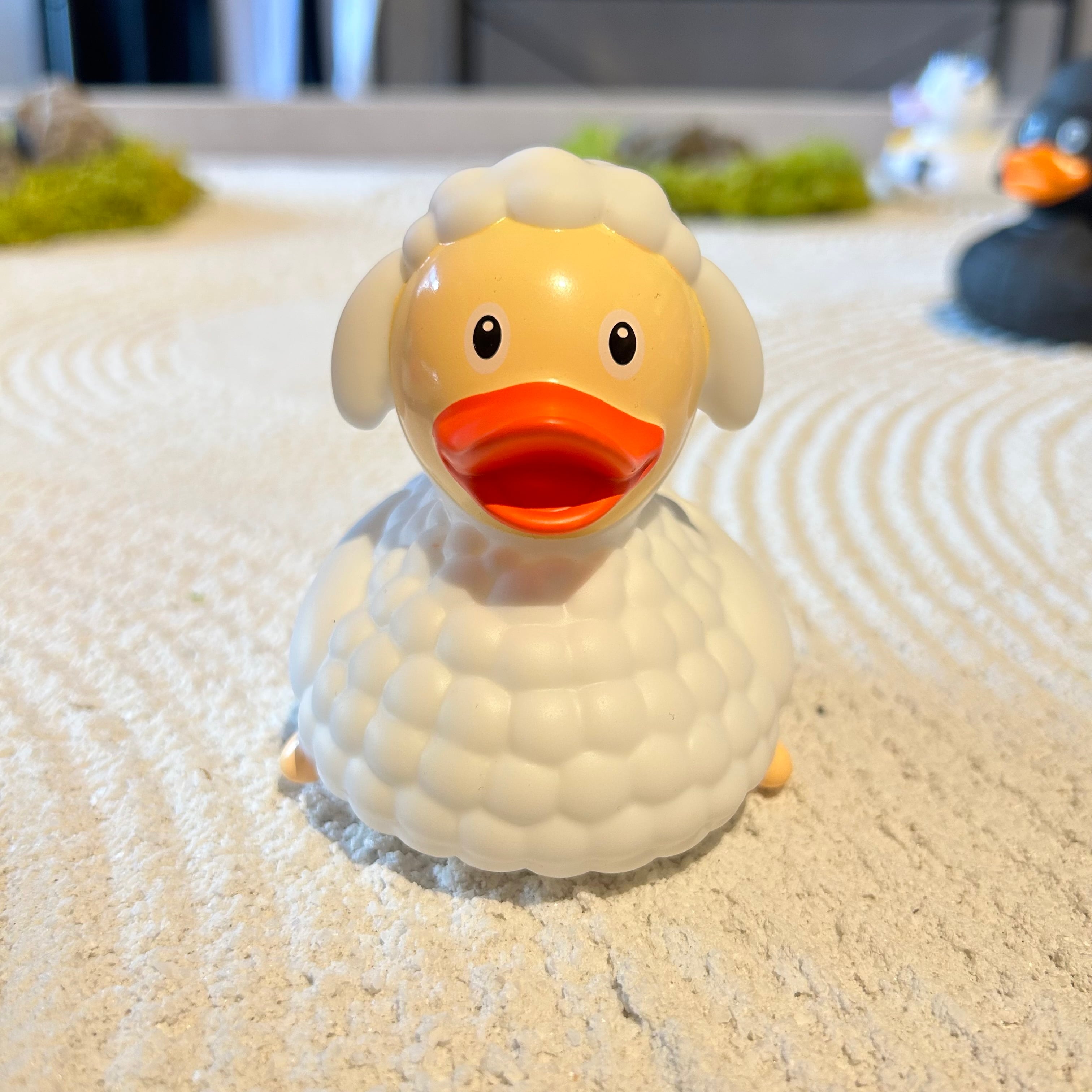 ホワイトシープ