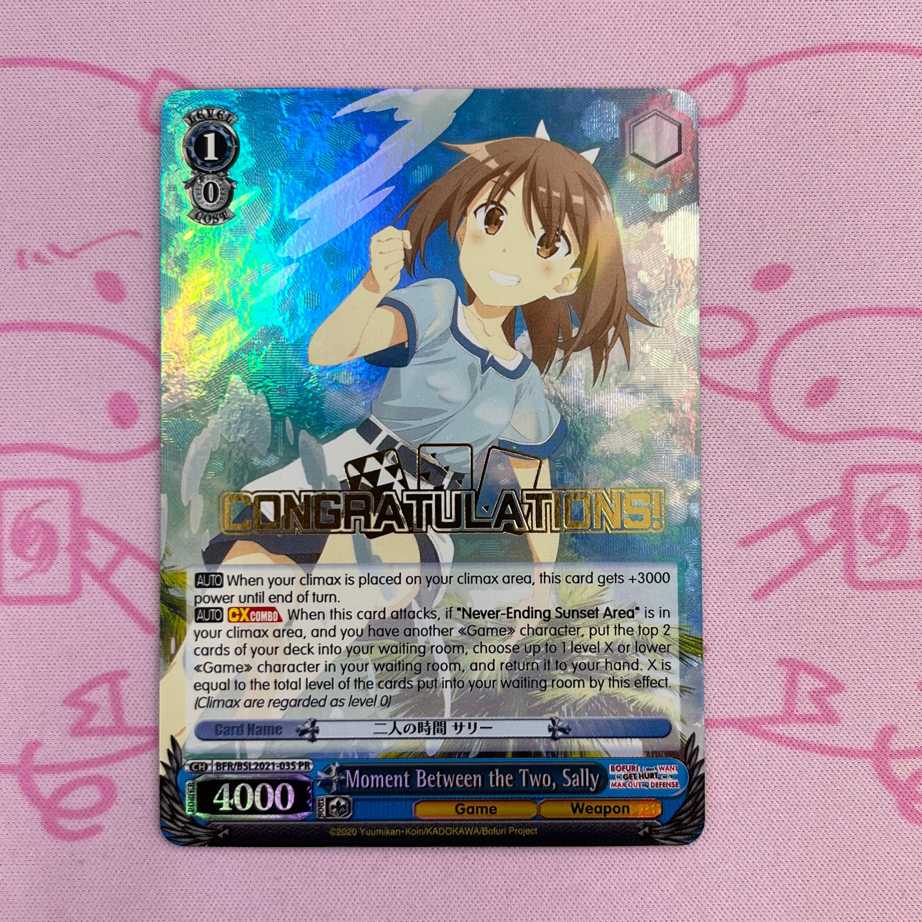 【美品】二人の時間 サリー(英語版 PR