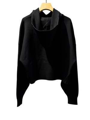【25AW】ENFOLD エンフォルド / CROPPED HOODED PULLOVER / フーディー