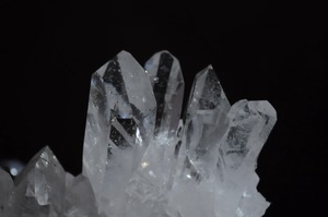 家族全員の全体運を上げる37