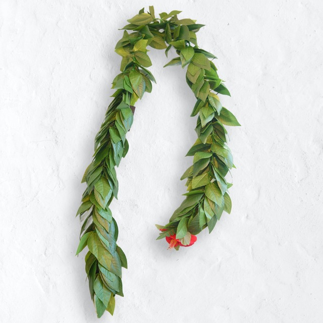 ★ハワイ直輸入★マイレレイ ／レギュラータイプ／HAWAII／145㎝／フラダンス／フラ／首飾り