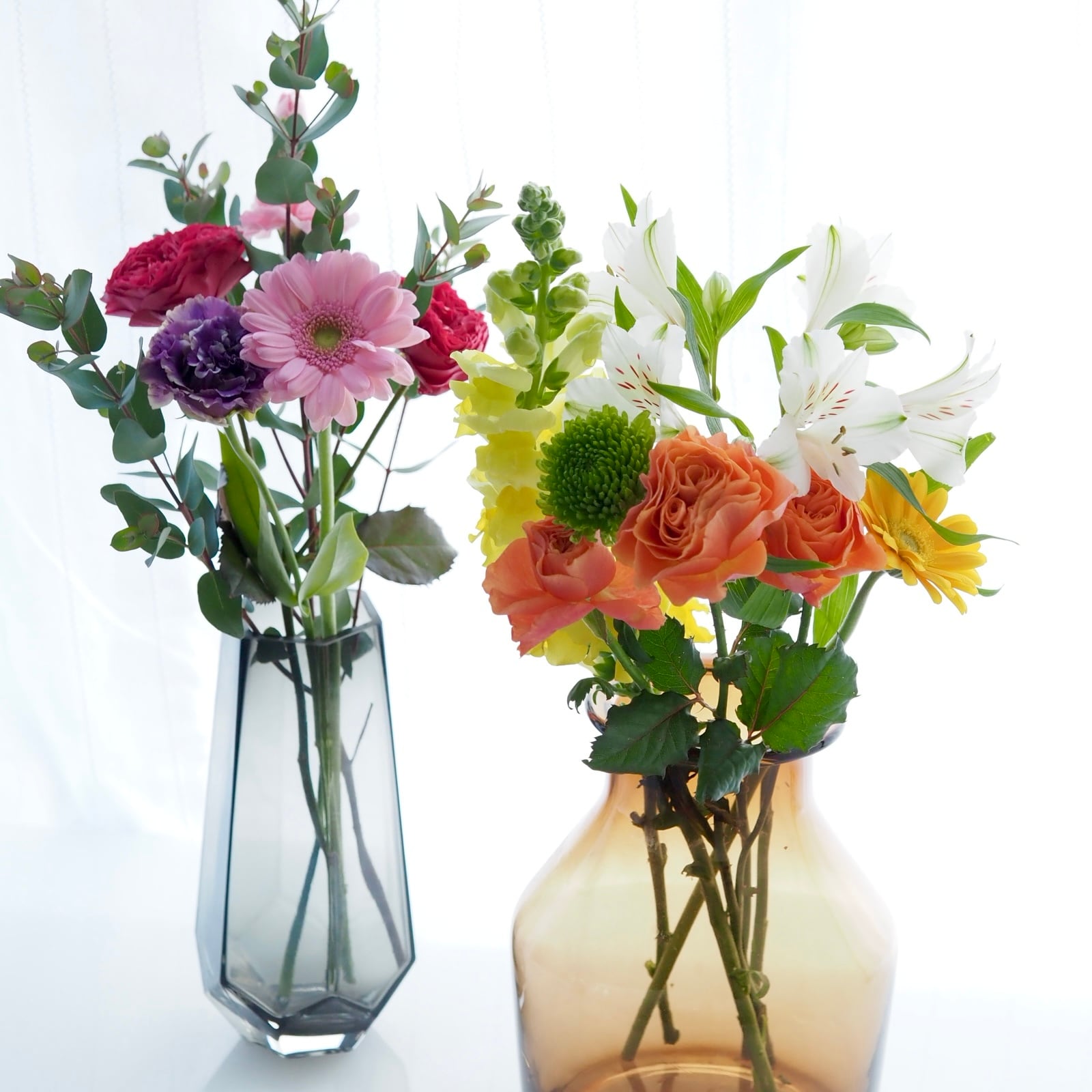 プラスフラワー（規格外のお花）セレクト 10本 | hanavie