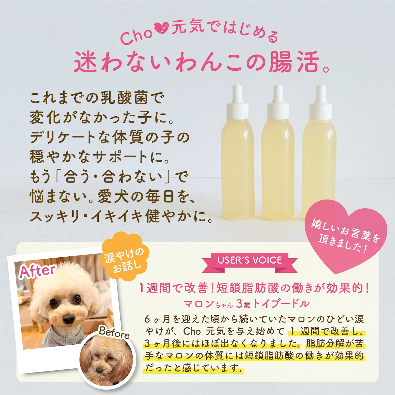 「ポストバイオティクスDE Cho元気」1本 / 25ml / 犬用・ペットフード 画像3