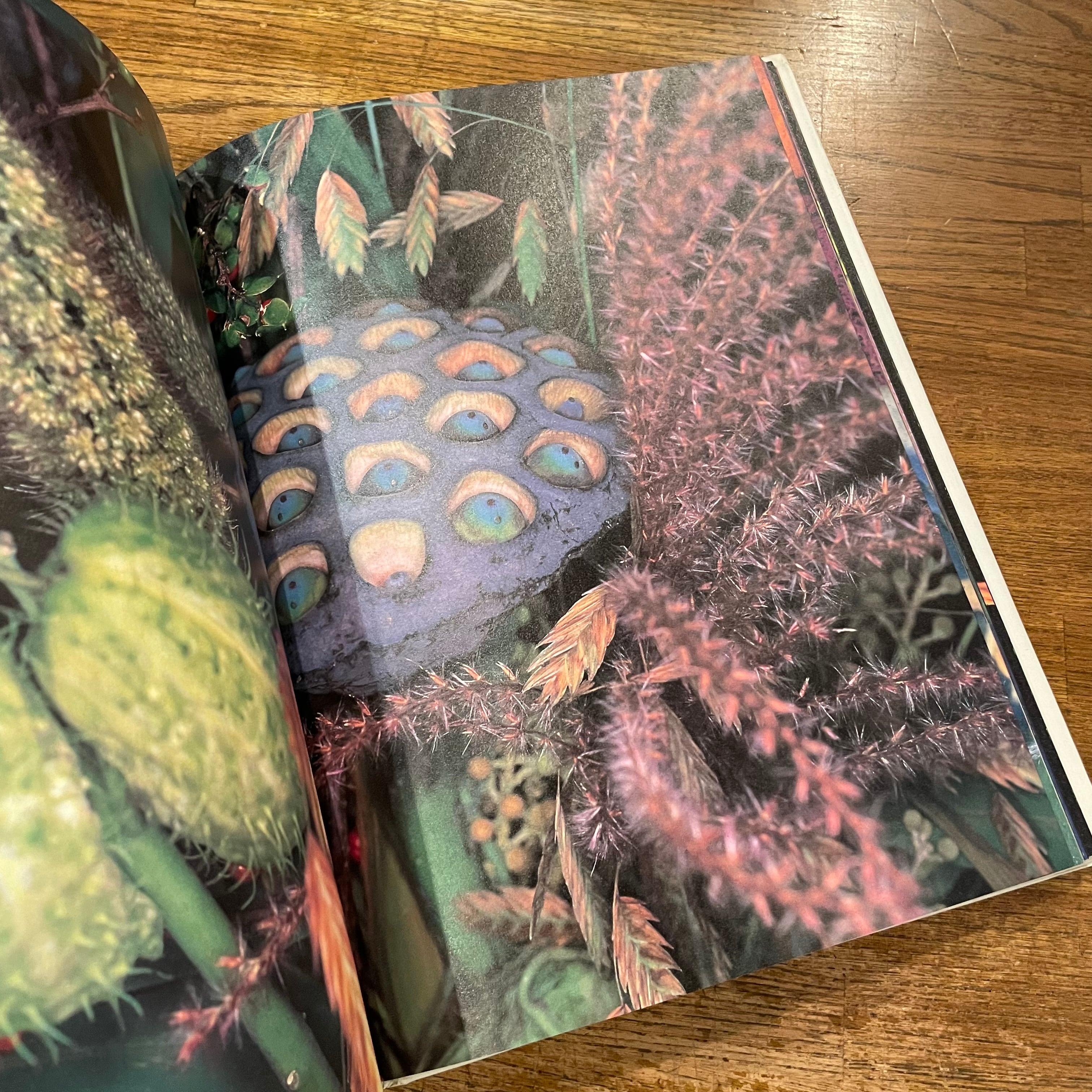 花曲 / 荒木経惟 | 百年