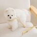 予約【stroll】Lumiere Leash (butterCream)