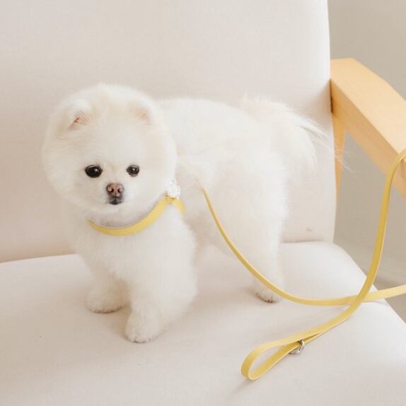 予約【stroll】Lumiere Leash (butterCream)