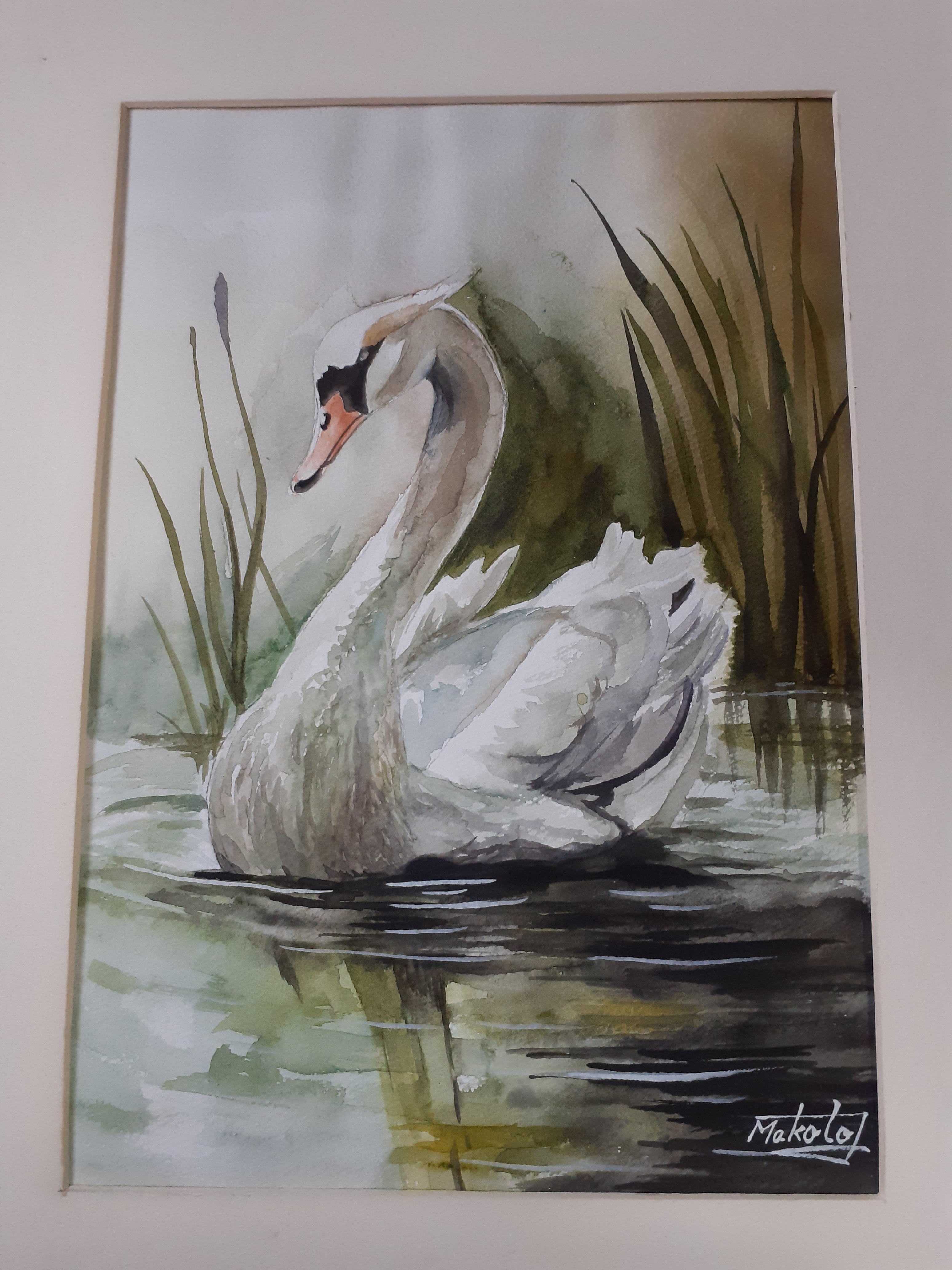 水彩画 生物細密画「ベニシオマネキ」 真作 （水彩画 生物細密画「ベニ 