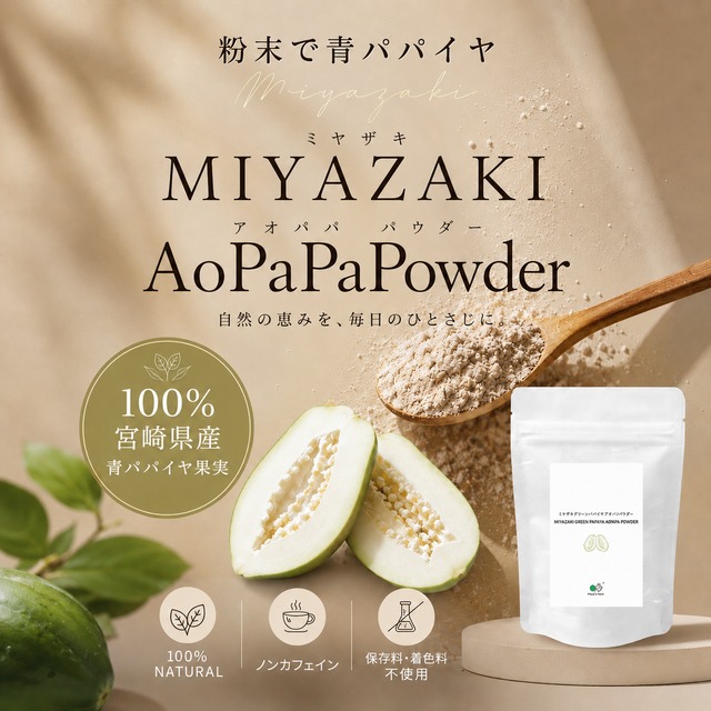 ＼手軽に青パパイヤ粉末／宮崎青パパイヤパウダー100g ③青パパイア果実タイプ