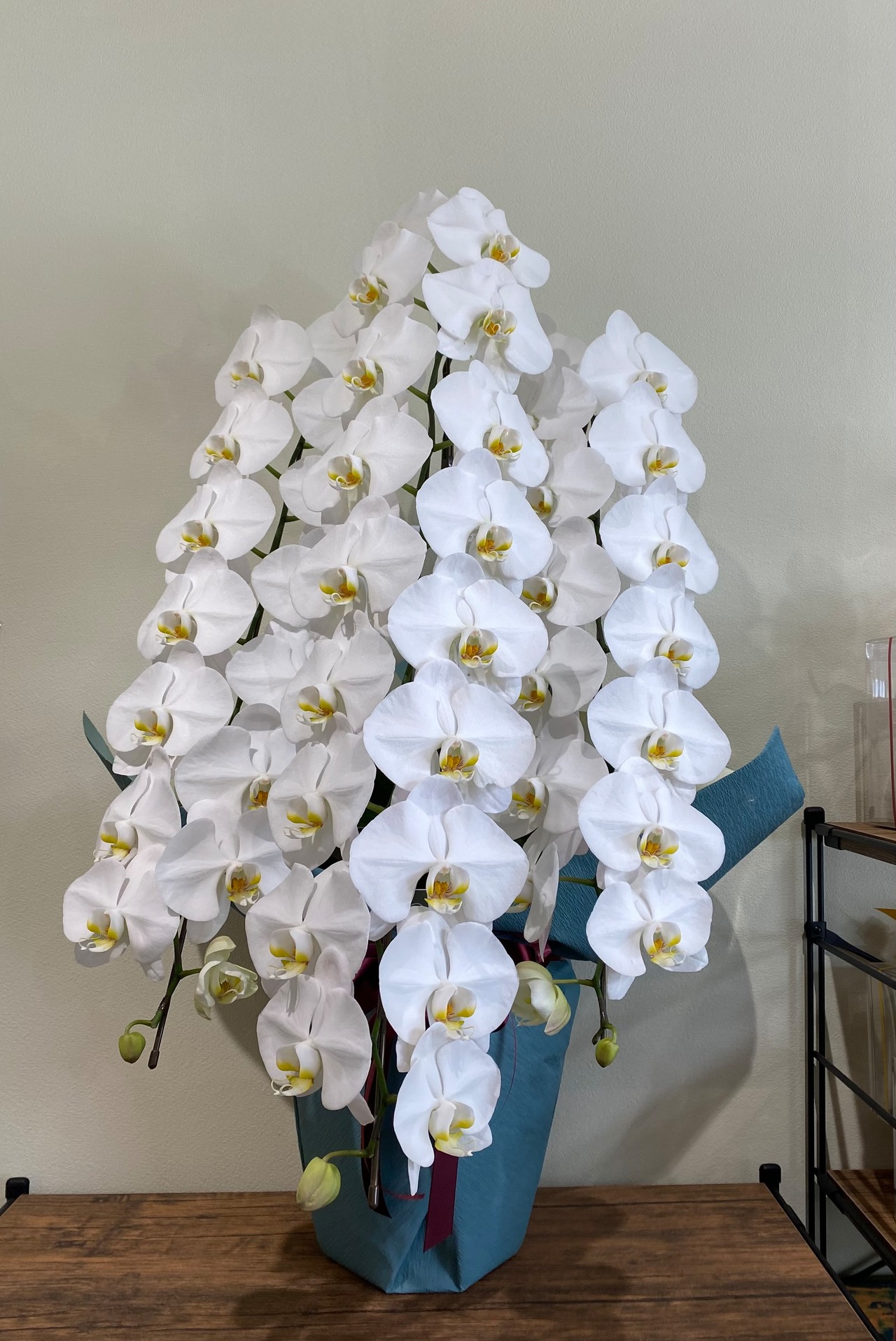 大輪が華やかな『白の胡蝶蘭　3本立』・画像2