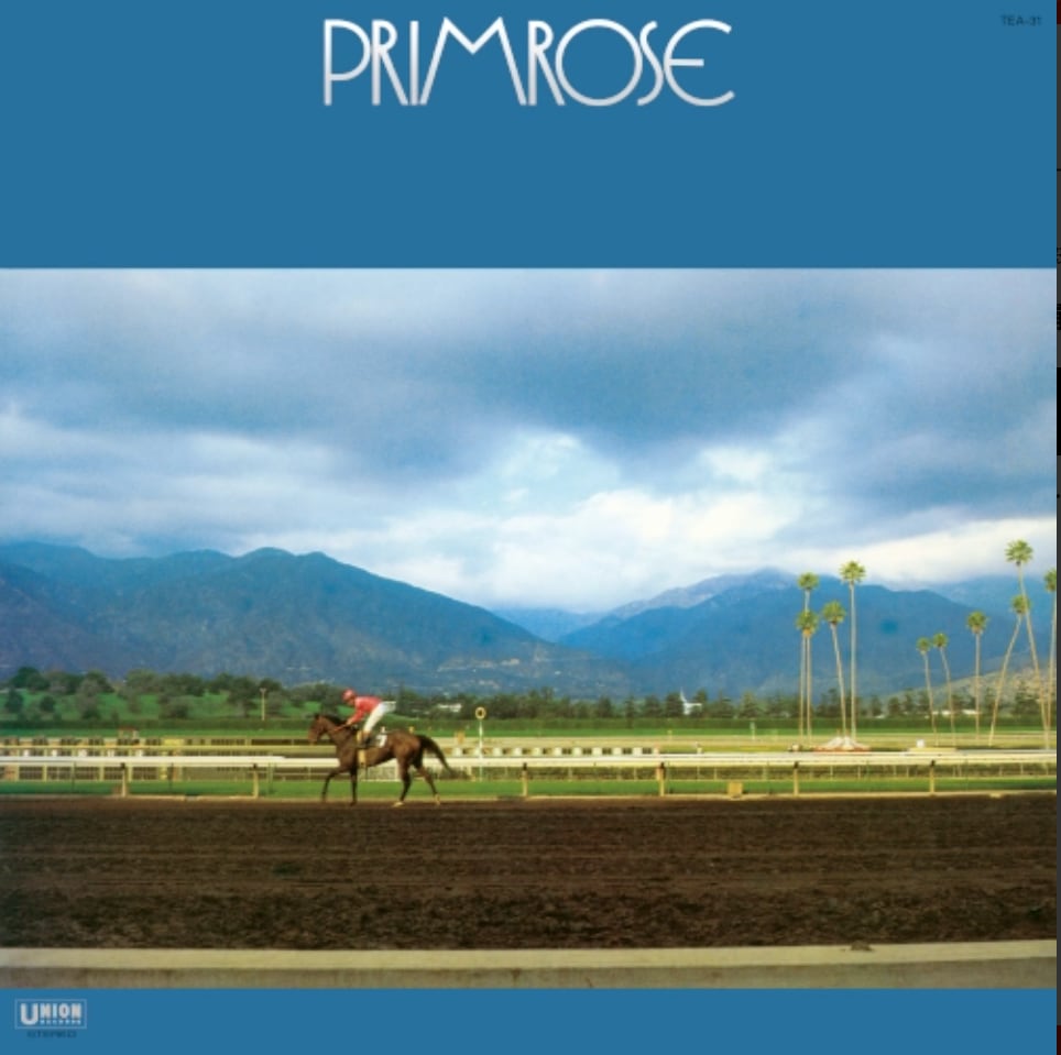 〈残り1点〉【LP】鈴木宏昌 - Primrose