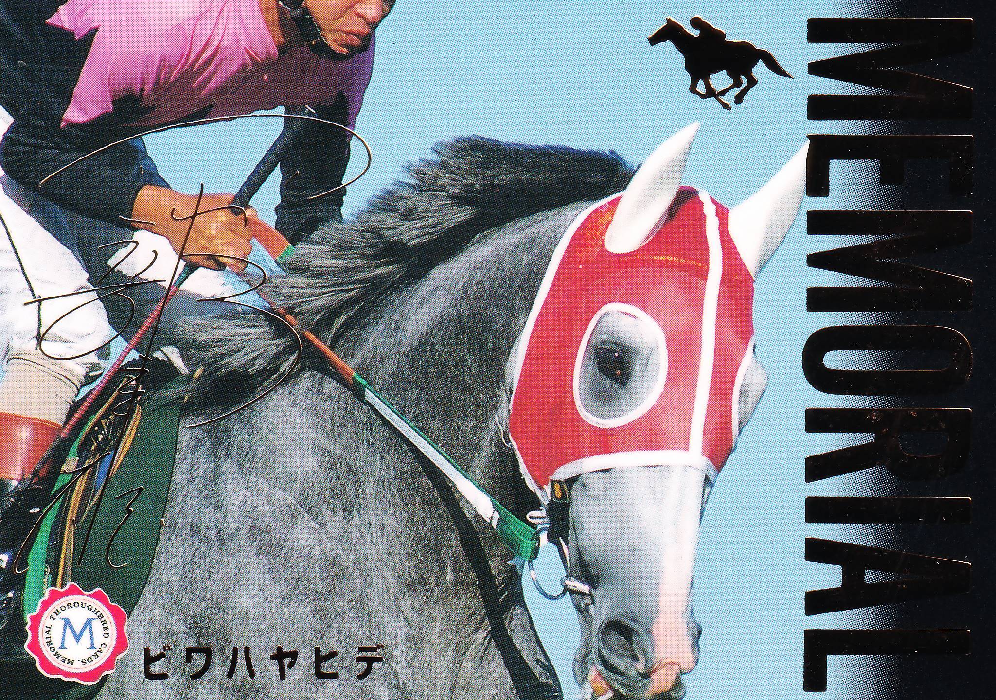 ビワハヤヒデ 岡部幸雄金色箔サイン付き。トレーディングカード。 金箔サイン付)ビワハヤヒデ「サラブレッドカード 95年版」M-13