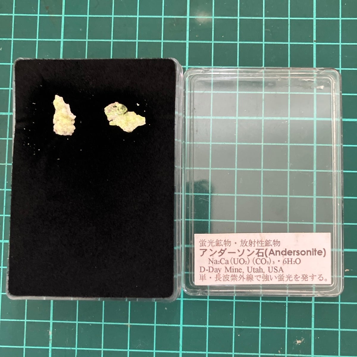 第壱標本室（鉱物） | きらら舎 Online Shop