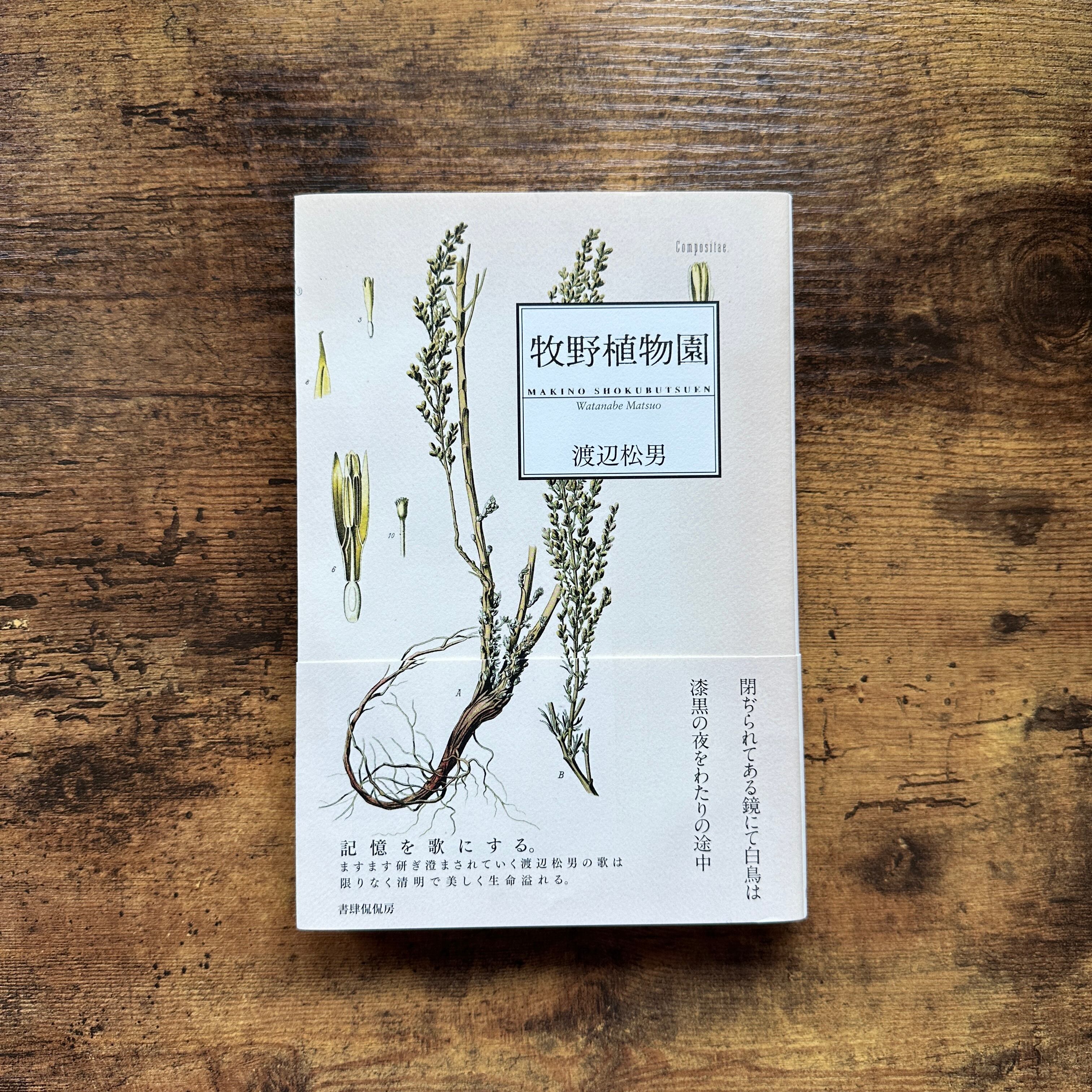 単行本『蒼氓』石川達三 | BAILEY BOOKS 公式通販サイト