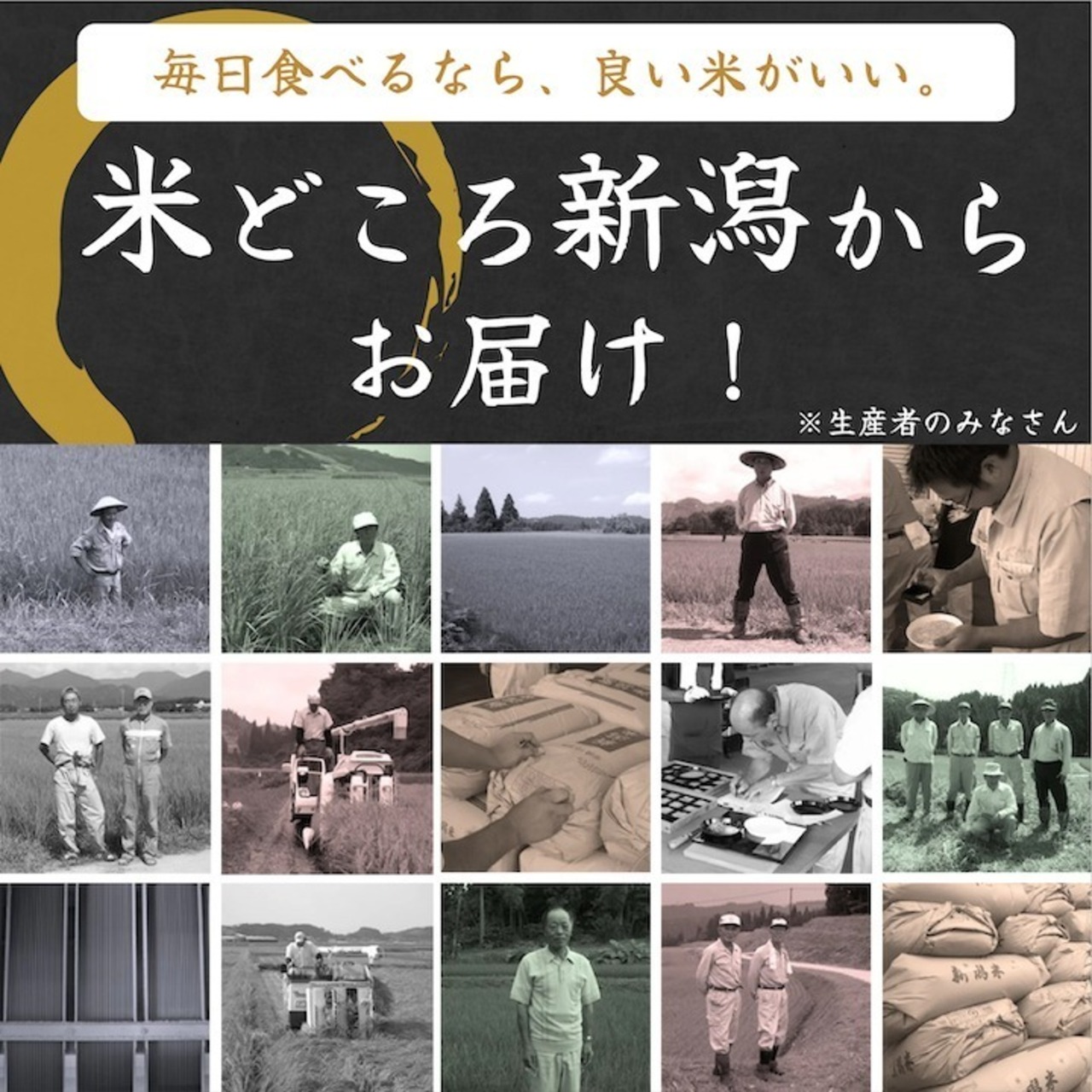 極上 魚沼米 魚沼産コシヒカリ 20kg（5kg×4袋）令和7年産 新潟県産 ギフトボックス入り