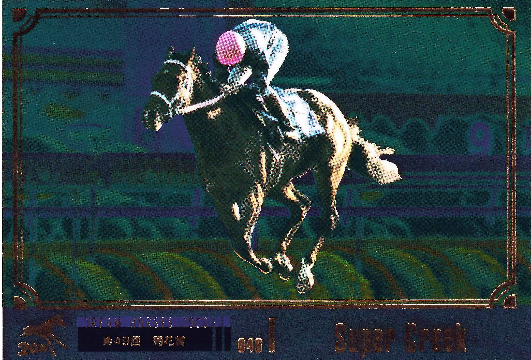 スーパークリーク：第49回 菊花賞「THE GRADE ONE 20世紀の名馬」46位