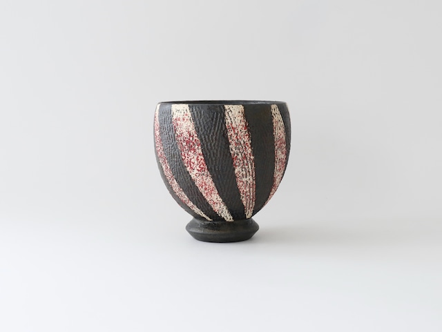 趙沢南 フリーカップ D