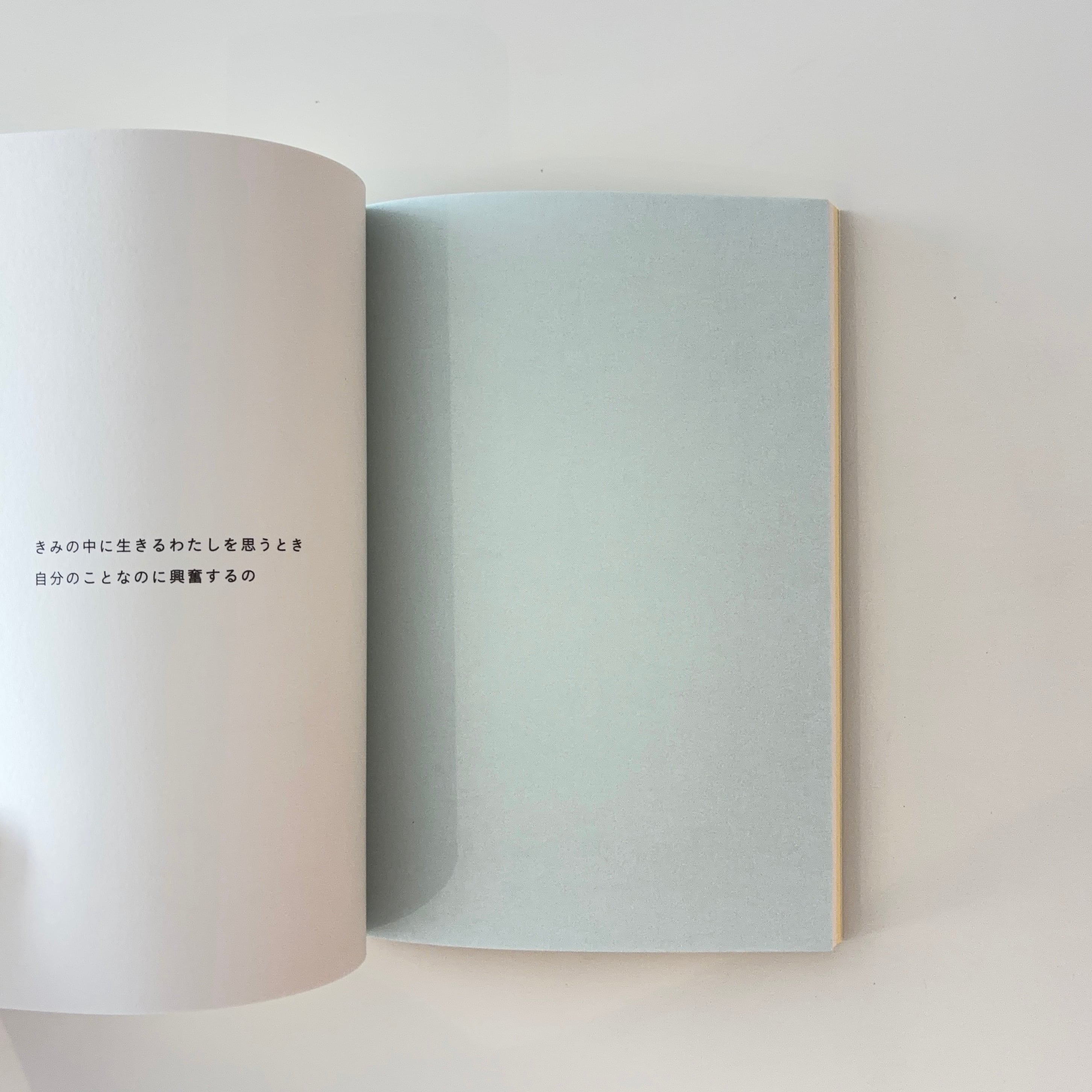 ○サイン本 すごく近い 5th Anniversary Edition｜Kaho Iwaya（opnner