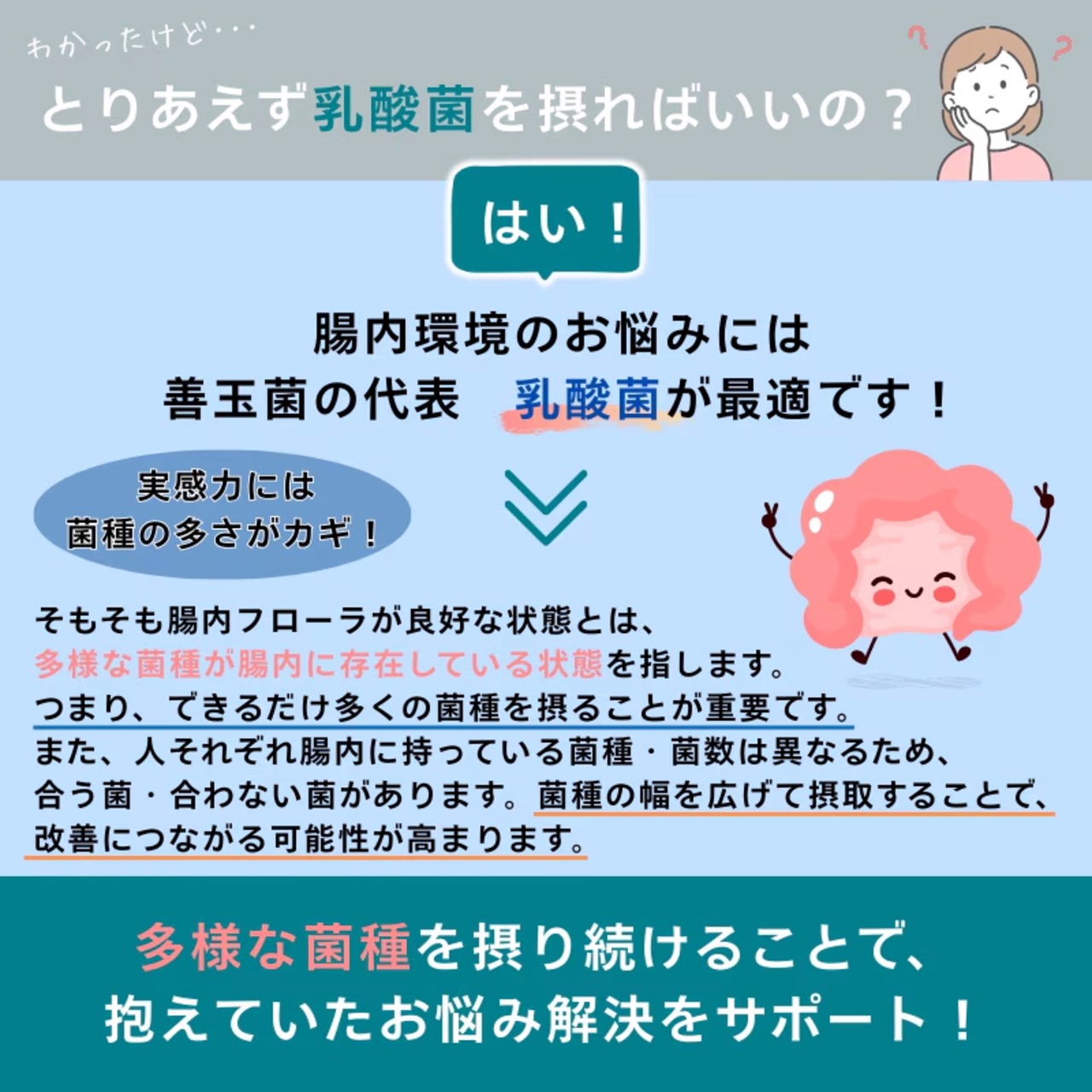 オールスターズ 乳酸菌