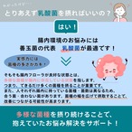 オールスターズ 乳酸菌