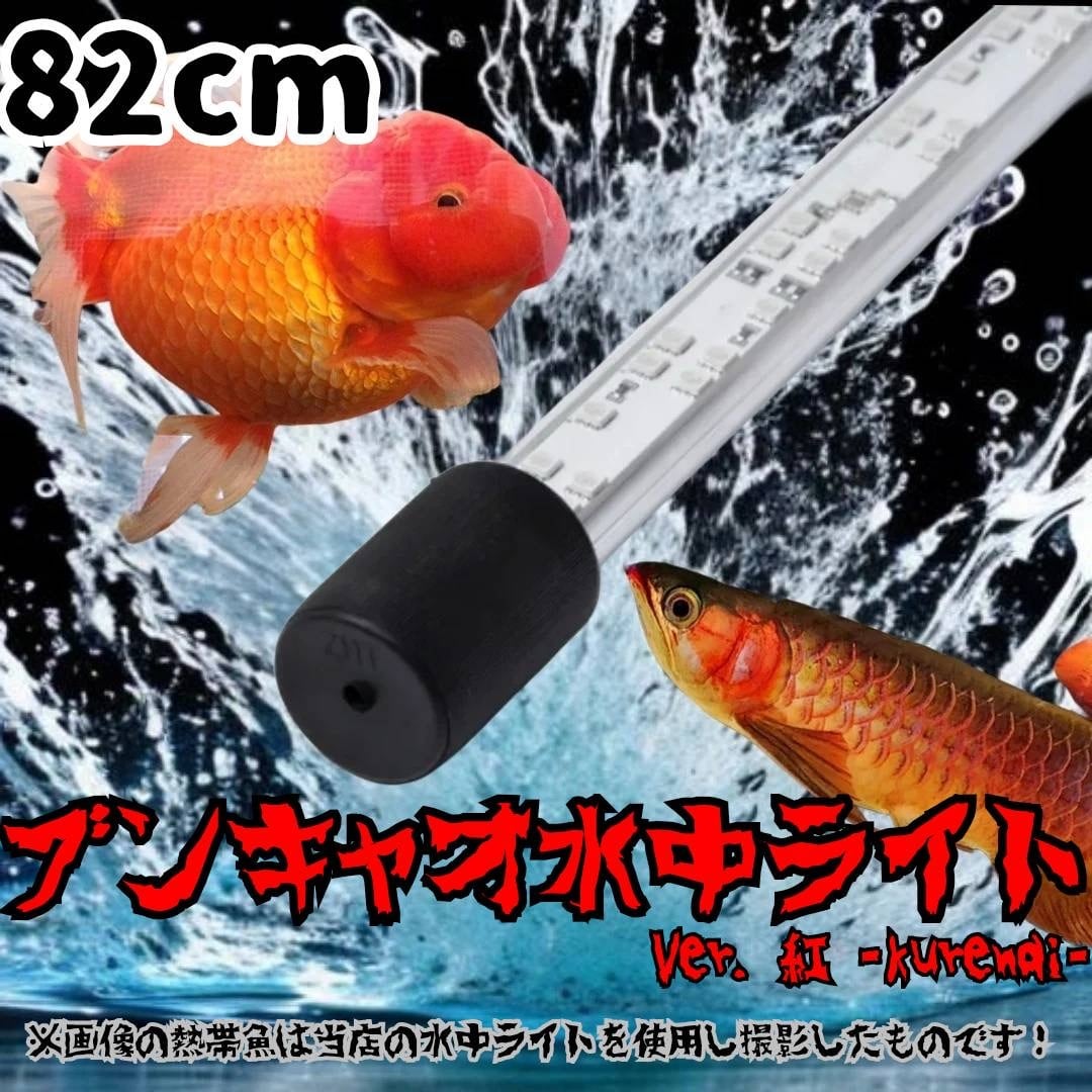 水中ライト、アジア 172センチ】ブンキャオ 水中ライト ver.紅-kurenai- アジアアロワナ 紅