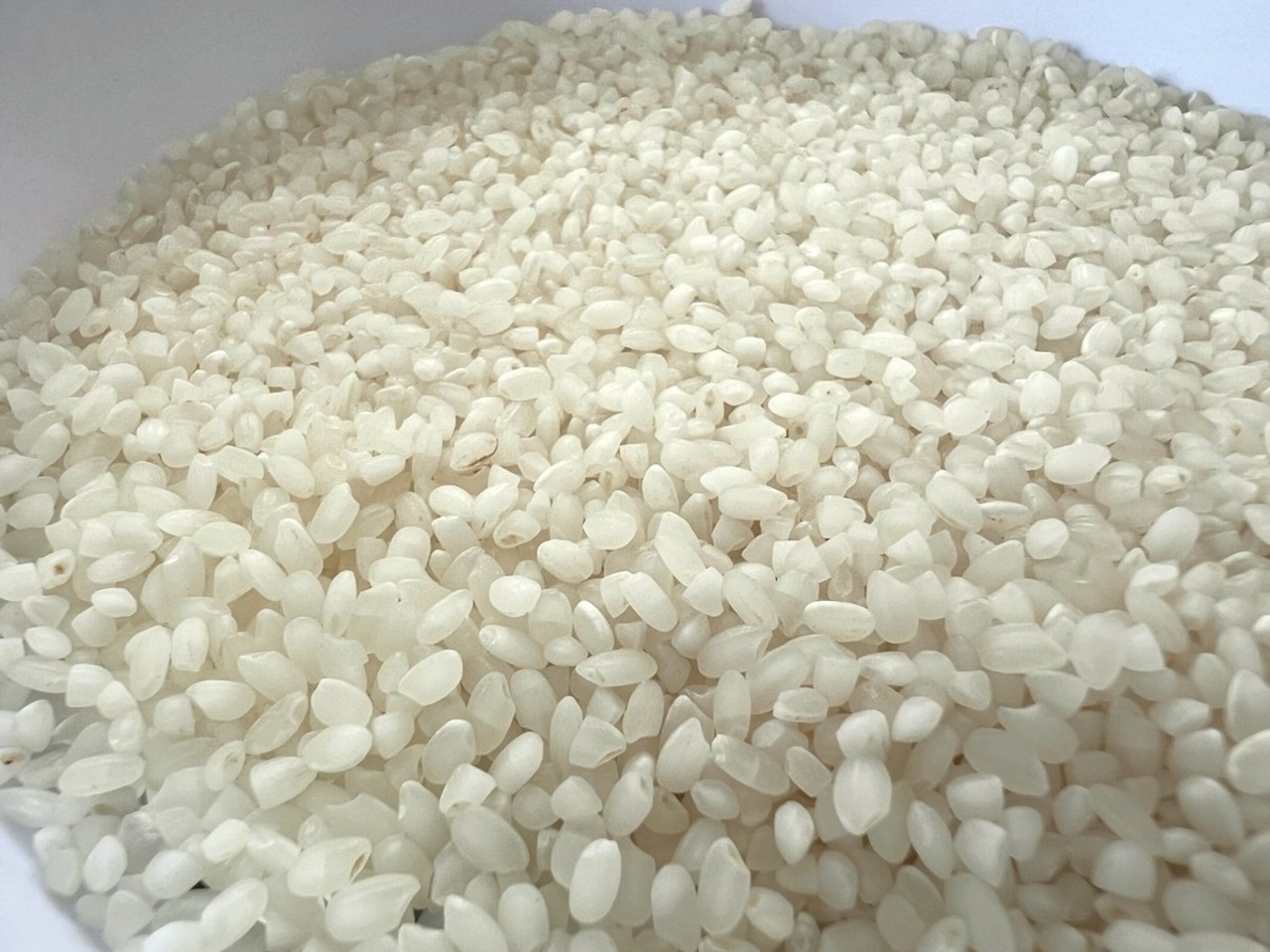 【令和8年産・今季限り】こだわり精米5kg ミルキークイーン ※胴割れロット特別価格