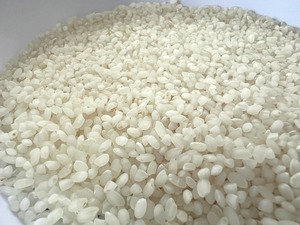 【令和8年産・今季限り】こだわり精米5kg ミルキークイーン ※胴割れロット特別価格