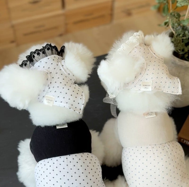 予約【todley】Sally Dot Bandana (2Color)