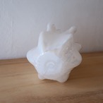 白いオーロラの花瓶