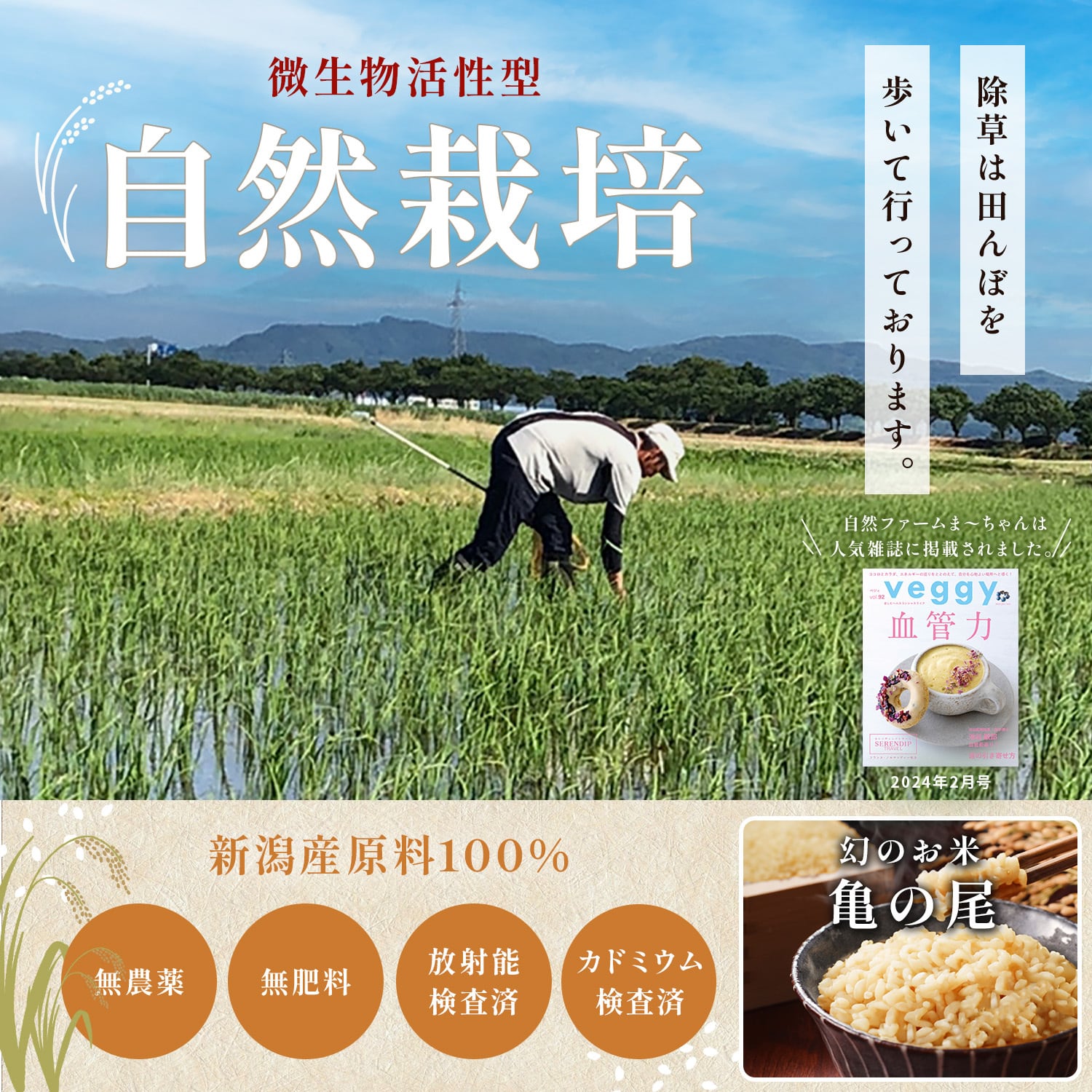 自然栽培　亀の尾　10kg 精米　農薬肥料不使用栽培 自然栽培 亀の尾 10kg 精米 農薬肥料不使用栽培