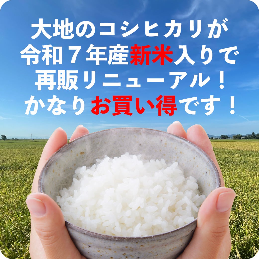 米 大地のコシヒカリ 10kg お米 10キロ 令和7年産米入り 送料無料