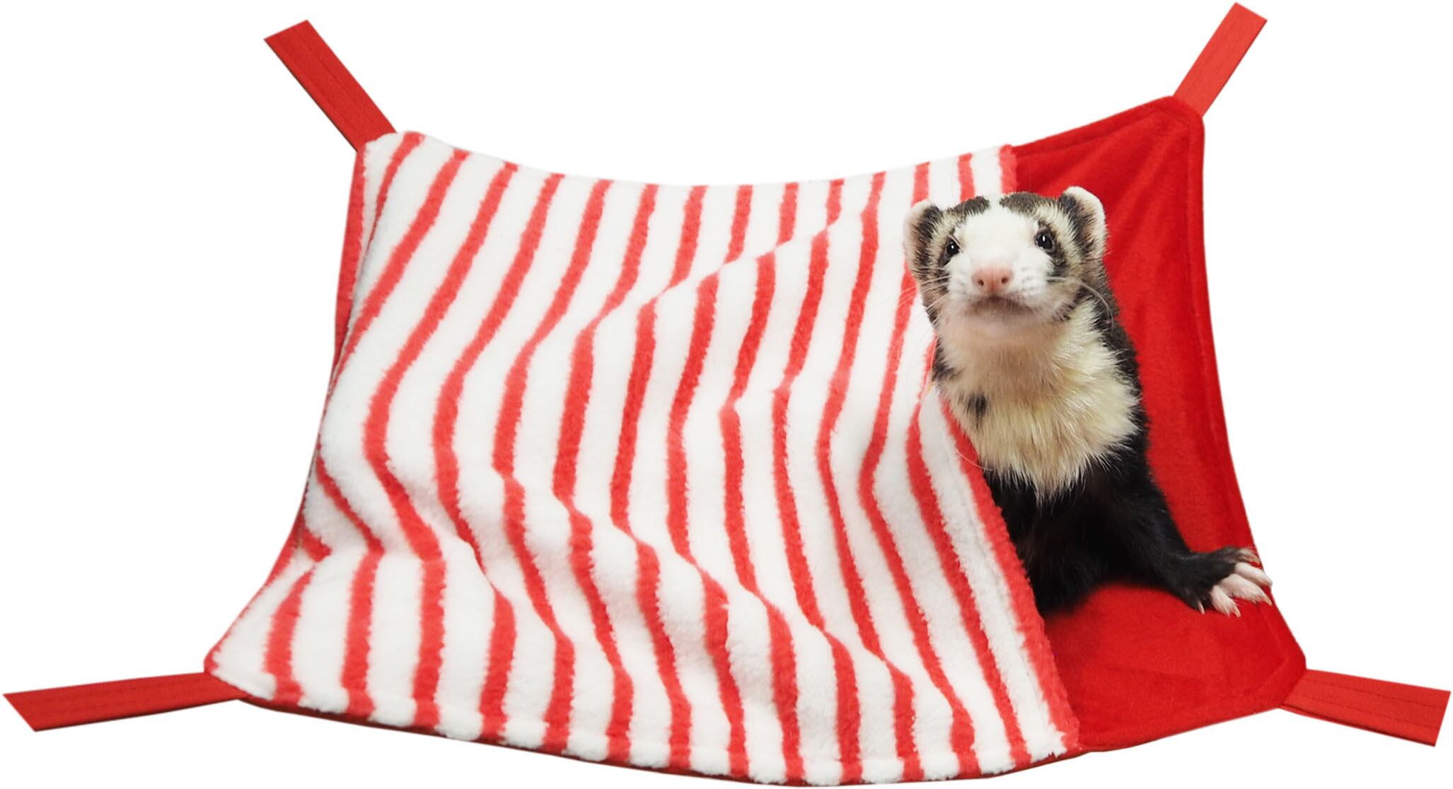 【フェレット】あったかボーダーハンモック レッド/ブルー/グリーン