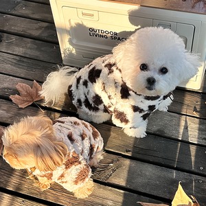 【PET】全2色暖かい牛柄裏ボアトップス