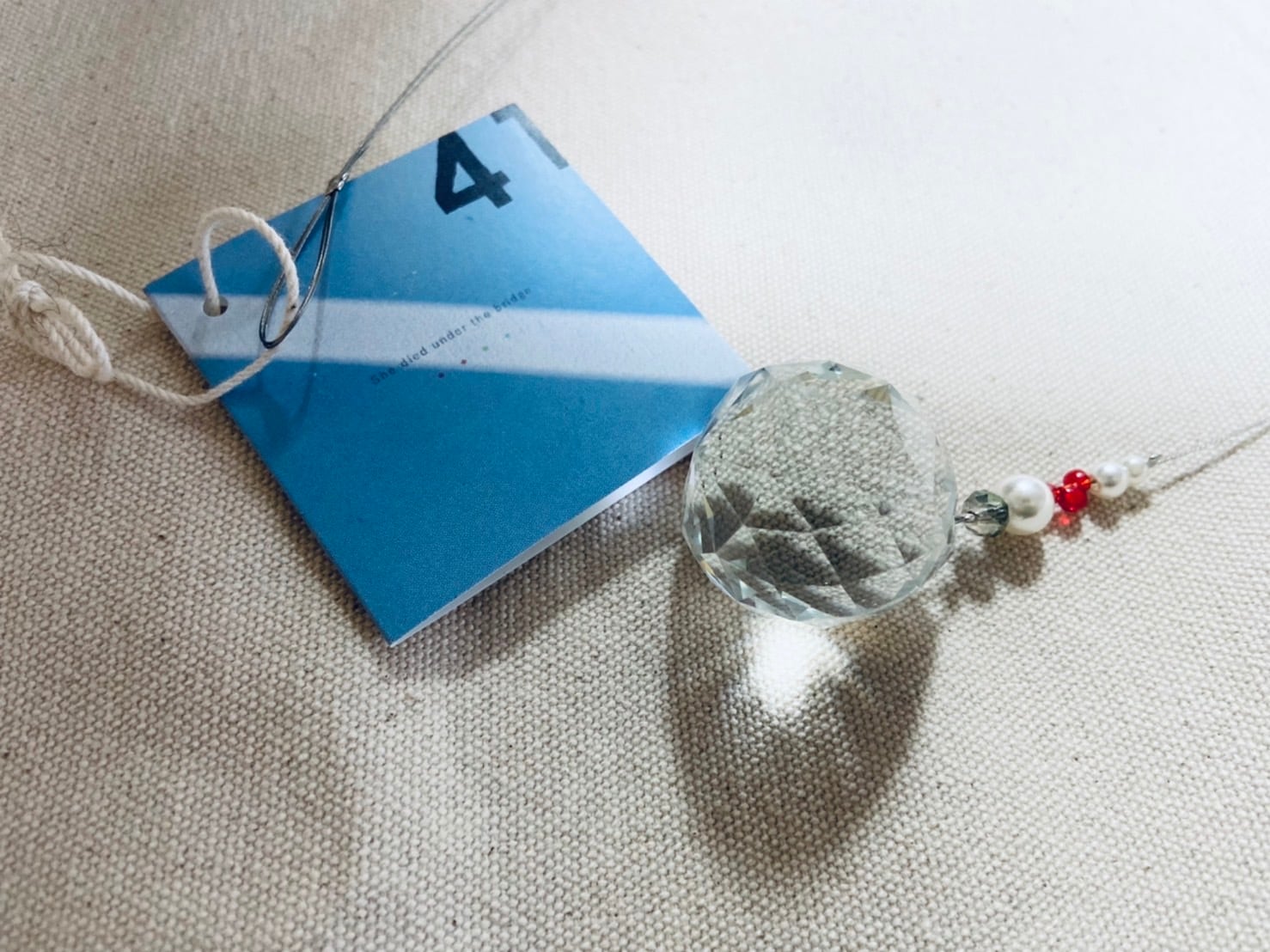 【絶版】This is a Portrait of Morita Saki. DLカード＆水晶）Moritasaki in the pool / She died under the bridge