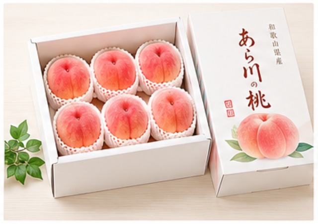 【特秀品】あら川の桃 白鳳 12玉入り（約4kg）
