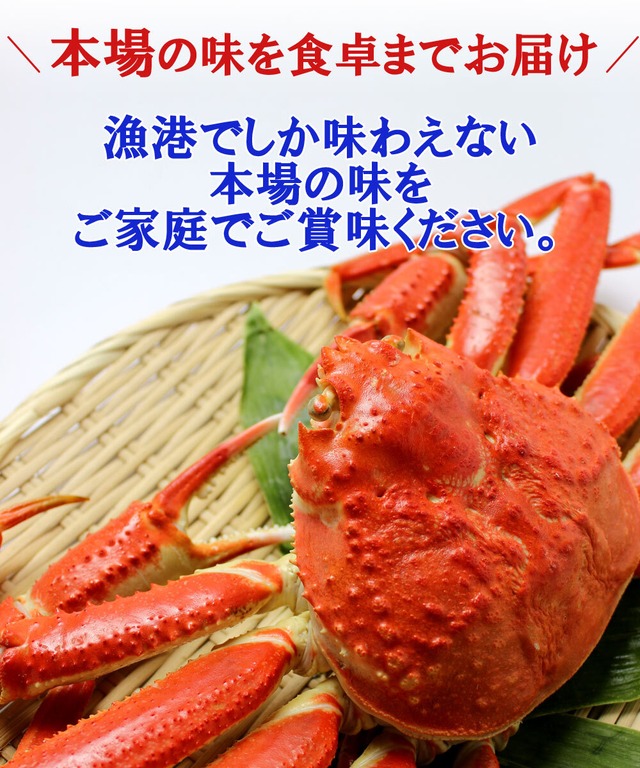 ズワイガニ 姿 松葉ガニ 生 贈答用 蟹 国産 境港水揚げ 1 0kg前後 送料無料 ギフト 焼きガニ カニすき 産地直送 越前がに 未冷凍 送料無料 アルディーオンラインストア