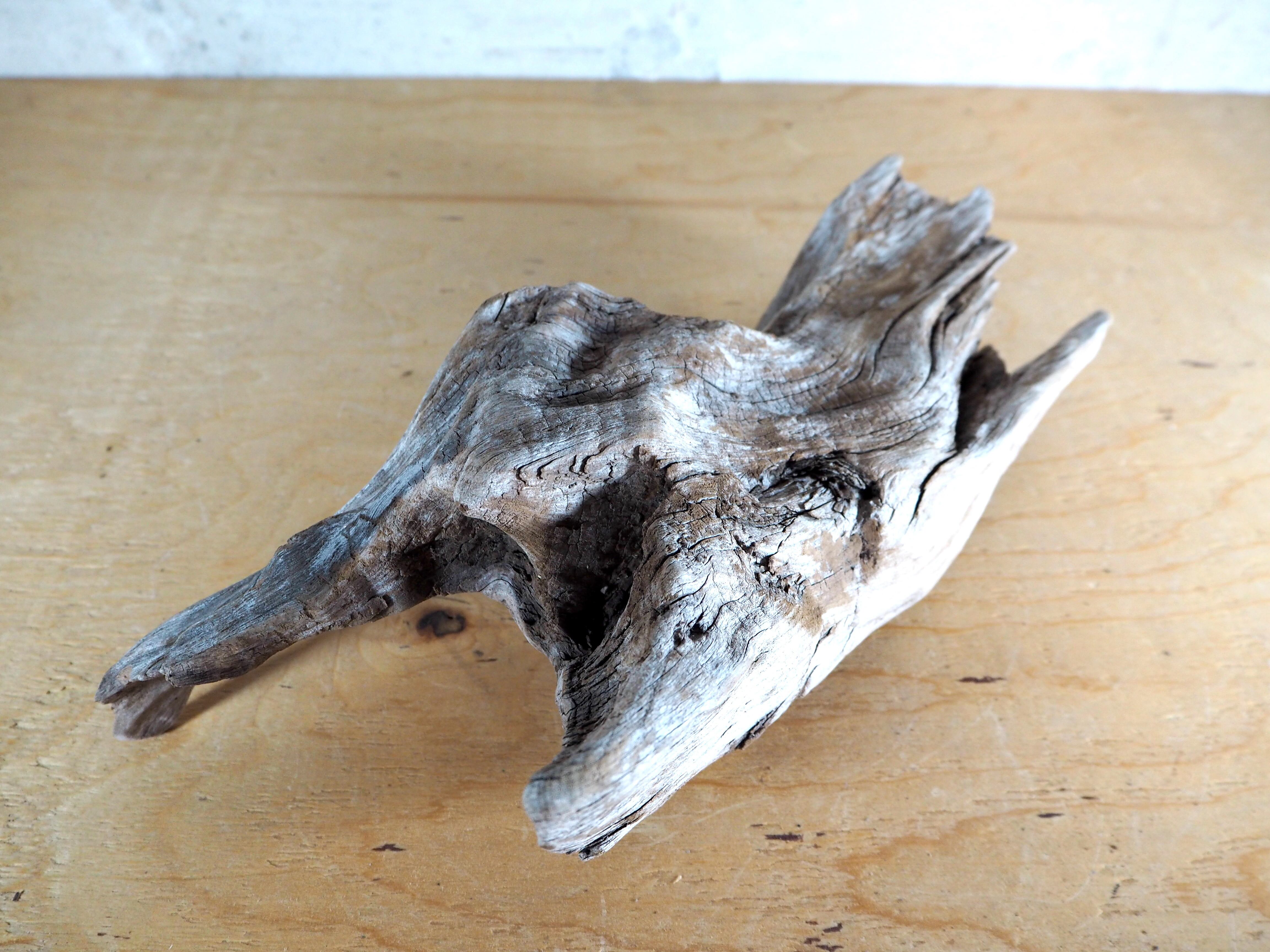 【大型流木】85cm アク抜き消毒済み 2025年最新】アク抜き済流木の人気アイテム - メルカリ