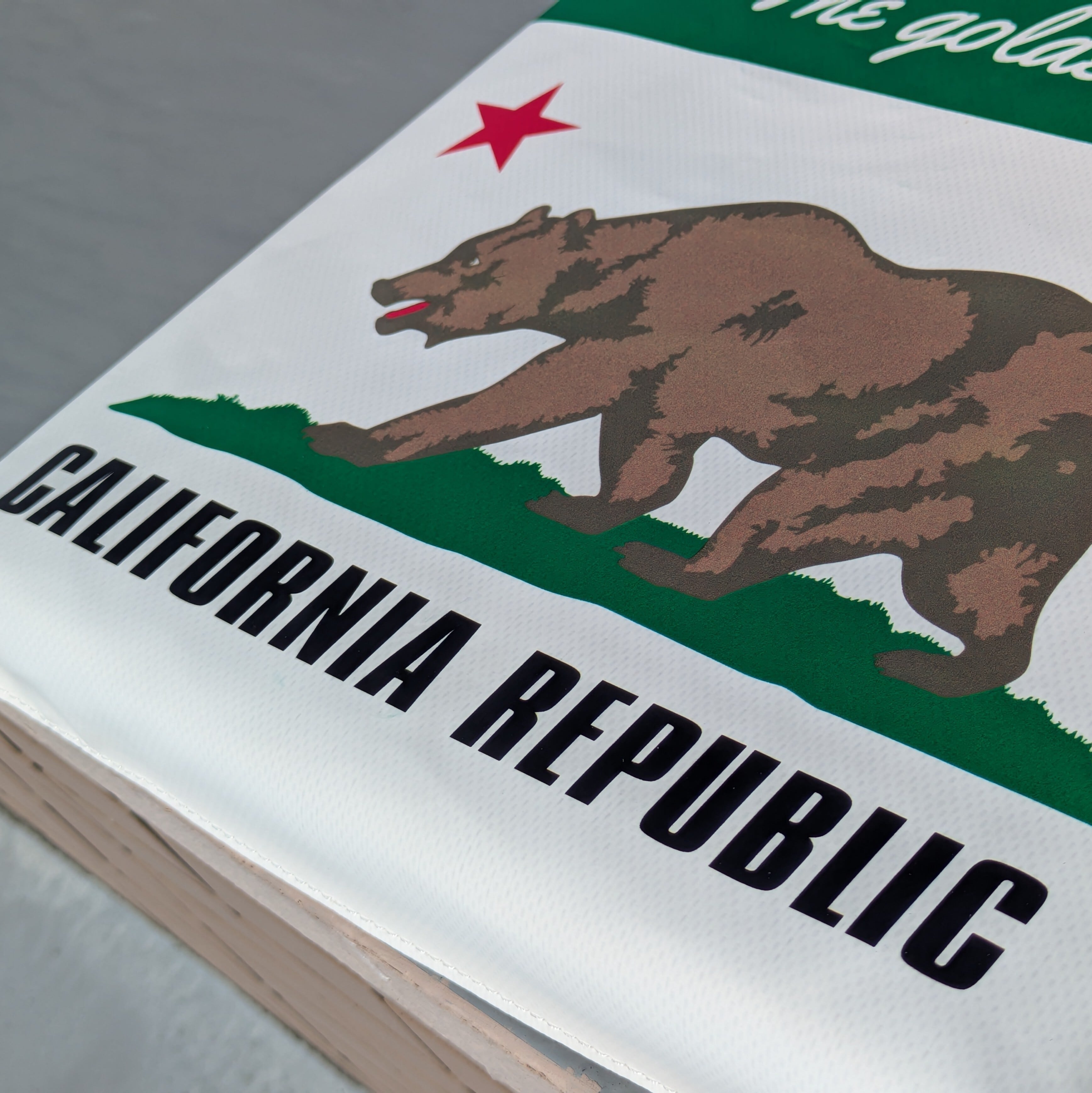 【 STADIUM CUSHION / スタジアム クッション 】 The State of California  / カリフォルニア州旗 / Pennzoil / ペンズオイル〚アメリカン雑貨 アメトイ〛