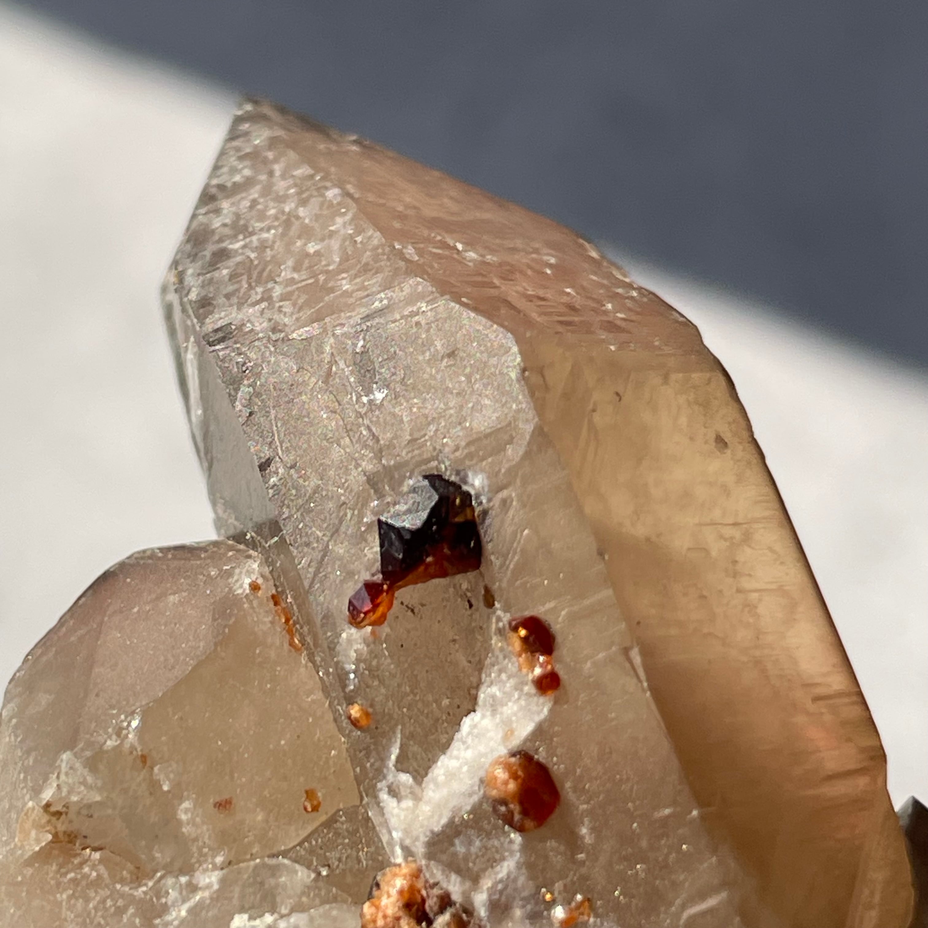 中国 福建省産♦︎SmokyQuartz Garnet|スモーキークォーツ ガーネット