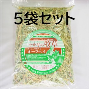 【5袋セット】R.D.B牧草　オーツヘイ500g