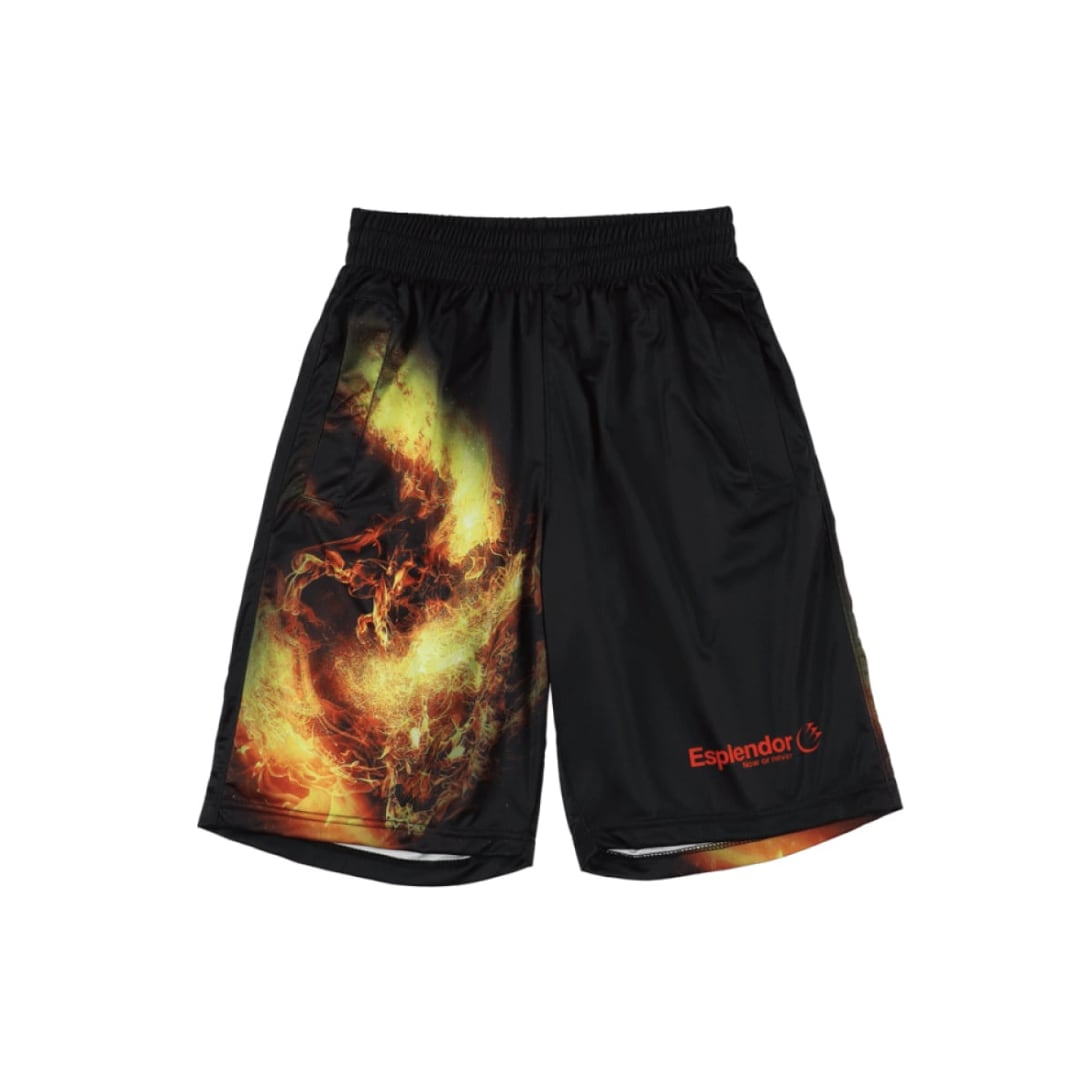 ドラゴンバスパン