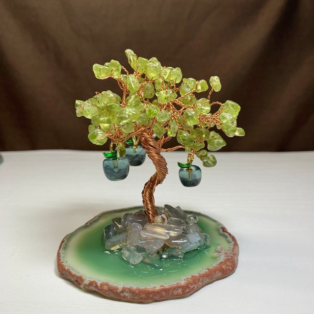 2.青いりんごがなる招財樹・ペリドット